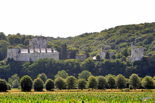 Château de Tancarville